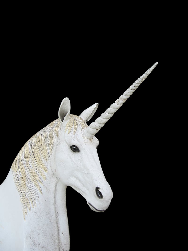 Unicorn Burger