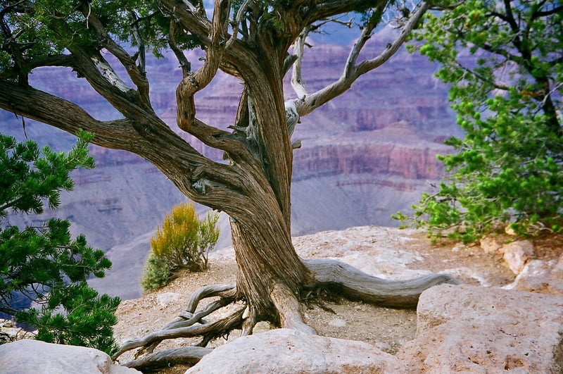 Havasu Falls, Grand Canyon